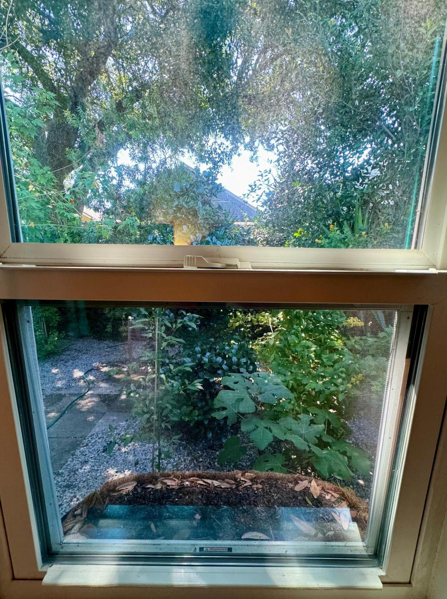 One Bedroom Apartment With Hot Tub 2 Blocks To Magazine Street ニューオーリンズ エクステリア 写真